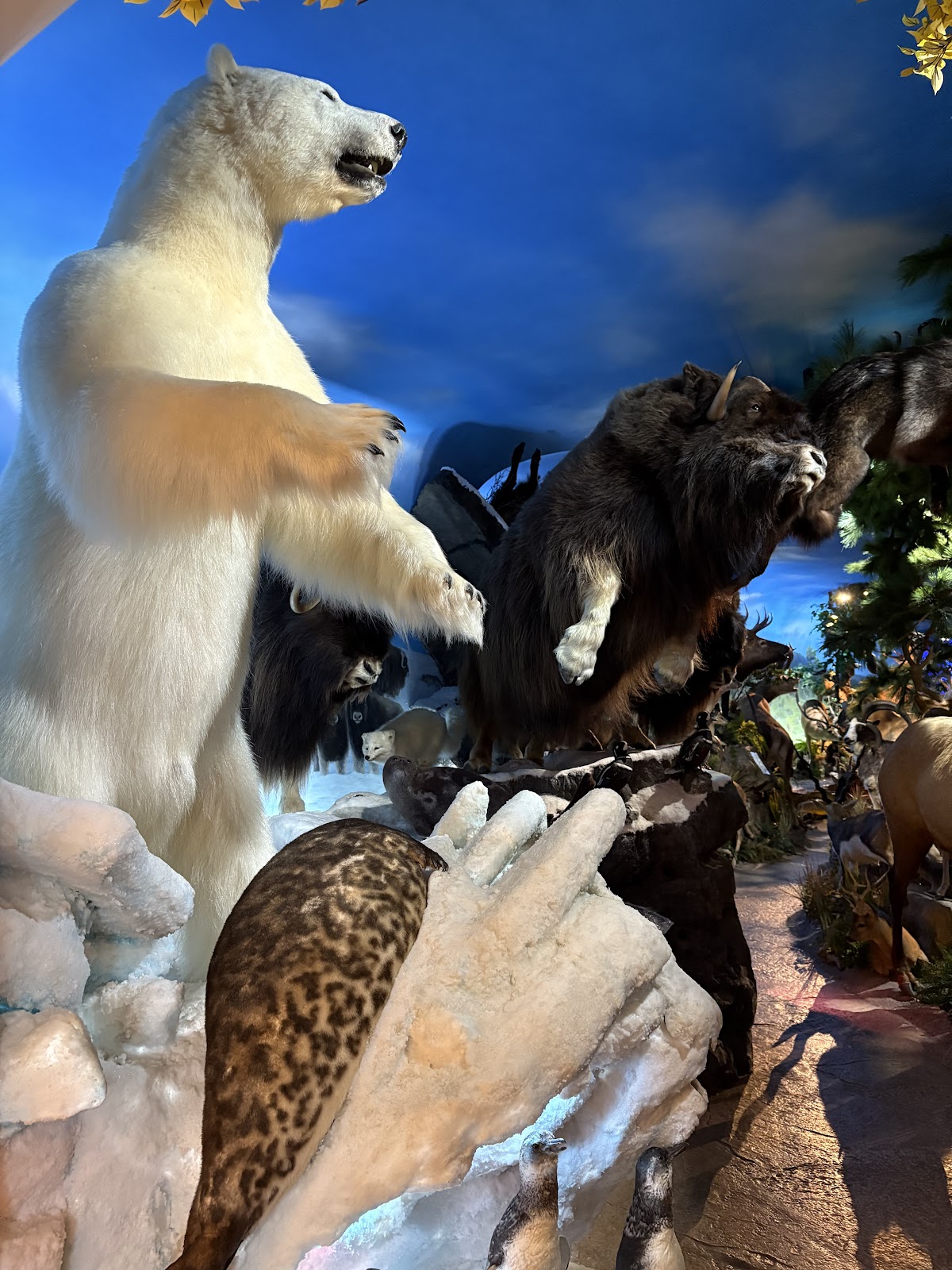 Warren Wildlife Gallery