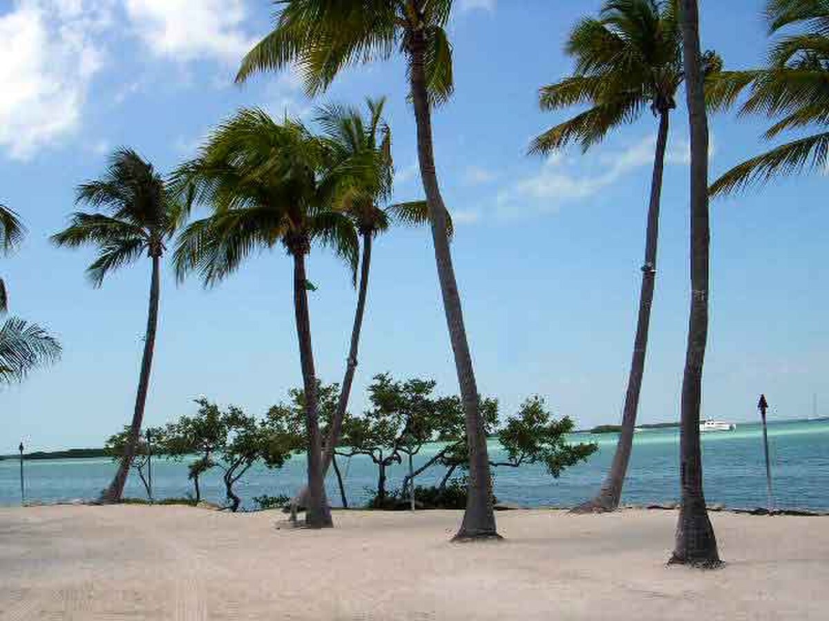 Florida Beach Hop — 5-day trip template on TownHop